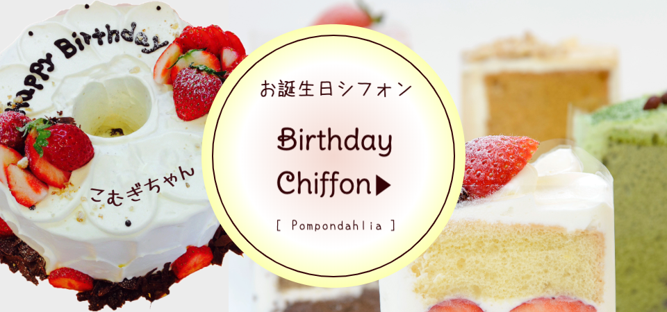 誕生日シフォンケーキ ランキング入シフォンケーキ専門店ふわふわスイーツひたちなか取り寄せ宅配シフォン ポンポンダリア 誕生日シフォンケーキ ランキング入シフォンケーキ専門店ふわふわスイーツひたちなか取り寄せ宅配シフォン ポンポンダリア